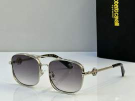 Picture of Roberto Cavalli Sunglasses _SKUfw65039869fw